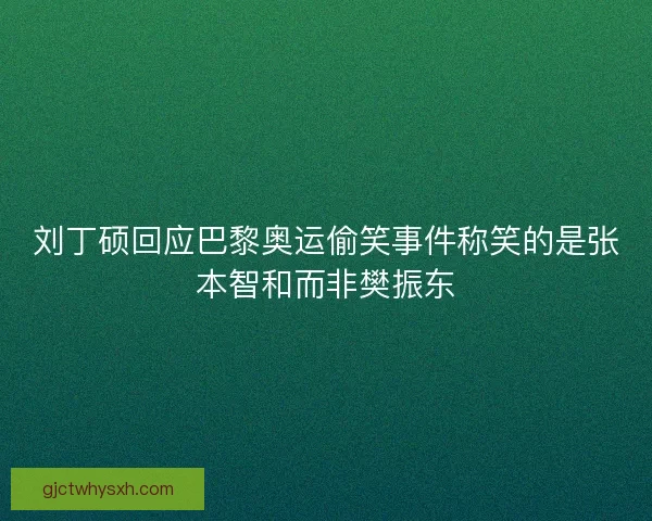 刘丁硕回应巴黎奥运偷笑事件称笑的是张本智和而非樊振东