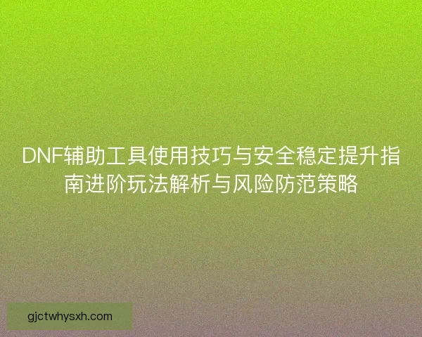DNF辅助工具使用技巧与安全稳定提升指南进阶玩法解析与风险防范策略