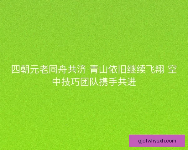 四朝元老同舟共济 青山依旧继续飞翔 空中技巧团队携手共进