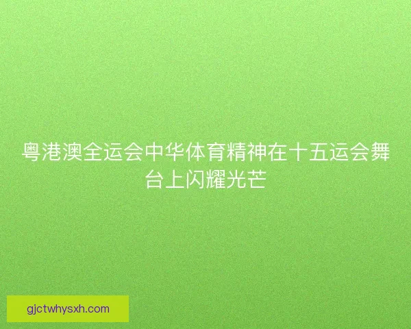 粤港澳全运会中华体育精神在十五运会舞台上闪耀光芒 粤港澳全运会中华体育精神在十五运会舞台上闪耀光芒