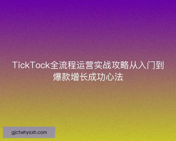 TickTock全流程运营实战攻略从入门到爆款增长成功心法